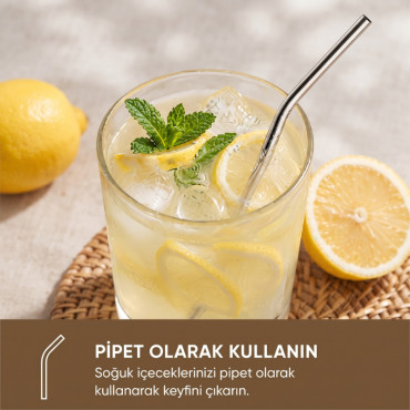 6'lı Kaşıklı Pipet Seti - Metal - Pipet Temizleme Fırçası 