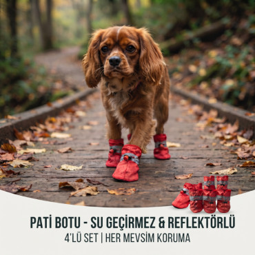 Evcil Hayvan Pati Botu - Kordonlu Tasarım - Kaymaz Taban 
