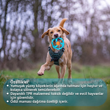 Halatlı Frizbi Köpek Isırma Oyuncağı - Mama Ödüllü Mekanizma 