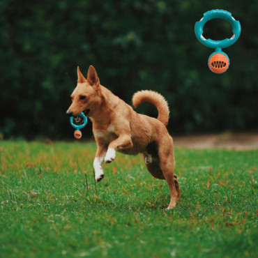 Halatlı Disk Köpek Isırma Oyuncağı - Mama Ödüllü Mekanizma
