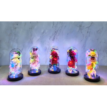 Işıklı Müzikli Cam Fanus İçinde Romantik Gül  