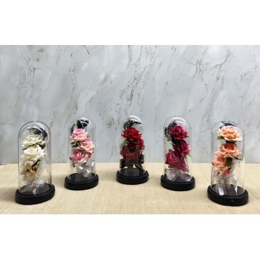 Işıklı Müzikli Cam Fanus İçinde Romantik Gül  