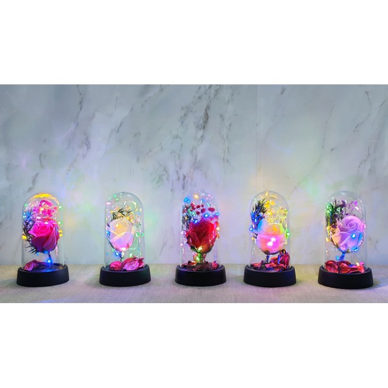 Işıklı Müzikli Romantik Büyük Gül  