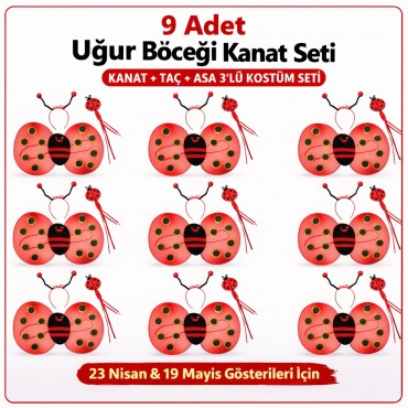 9’lu Uğur Böceği Kostüm Seti – Kanat Taç Asa