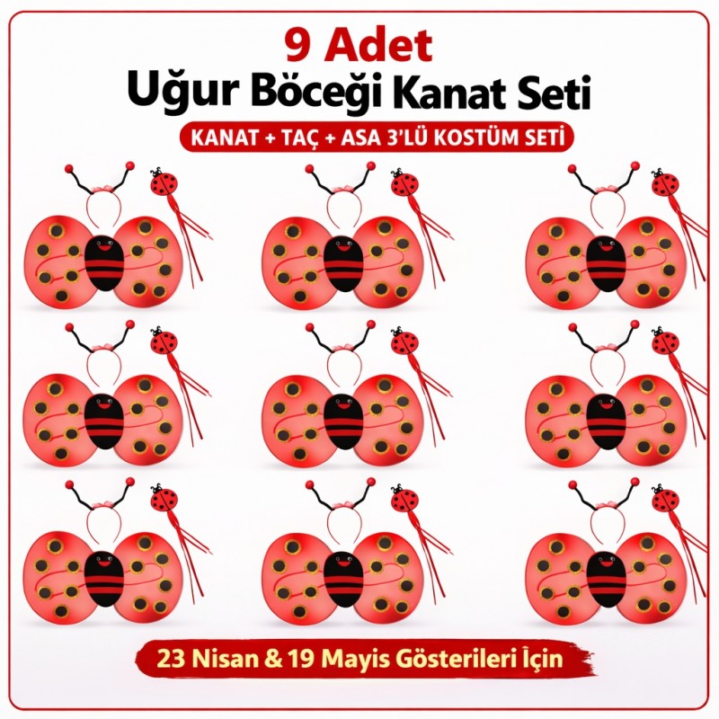9’lu Uğur Böceği Kostüm Seti – Kanat Taç Asa