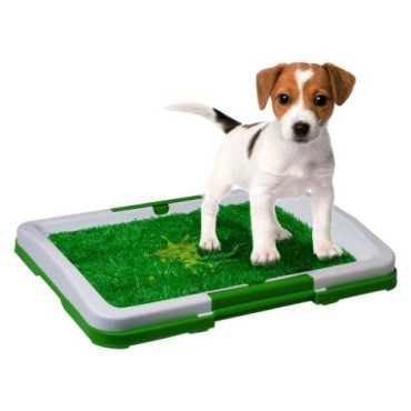 Yavru Köpek Tuvalet Eğitim Seti