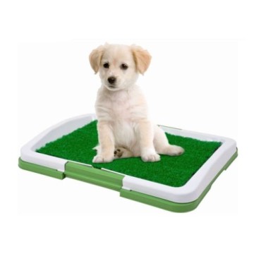 Yavru Köpek Tuvalet Eğitim Seti