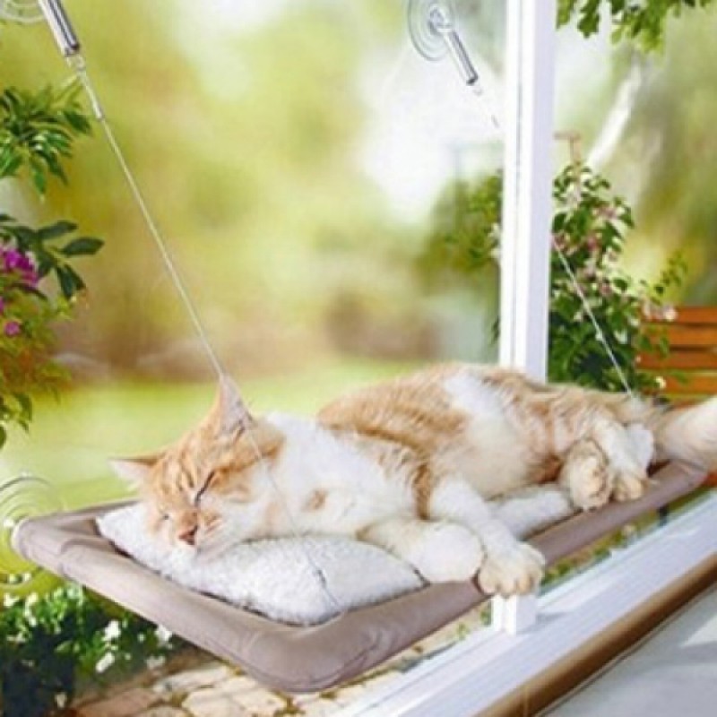 Sunny Seat Cama Yapışan Kedi Yatağı