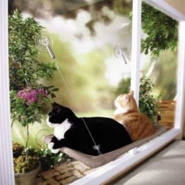 Sunny Seat Cama Yapışan Kedi Yatağı