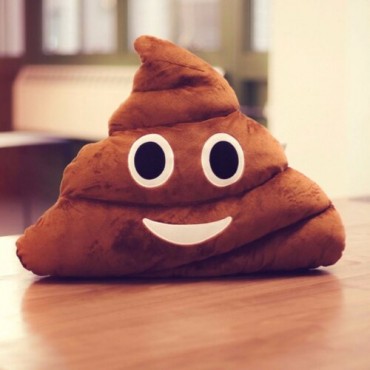 Poo Emoji Yastık