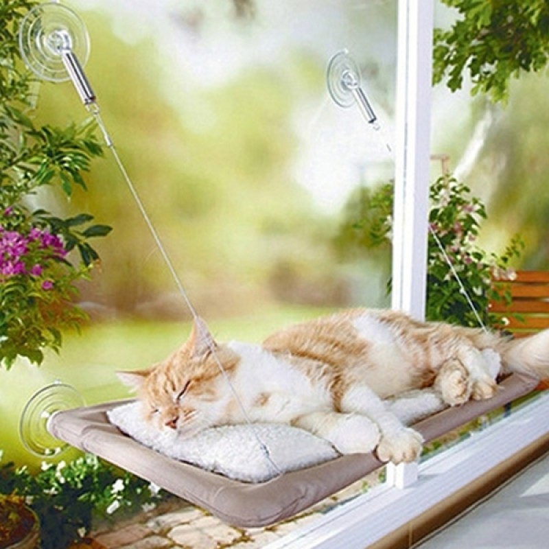 Cam Önü Kedi Yatağı