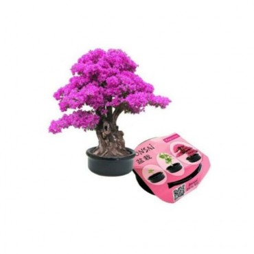  Bonsai Ekim Kiti Erguvan