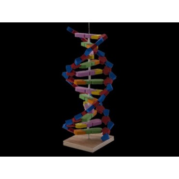 DNA Materyal Seti