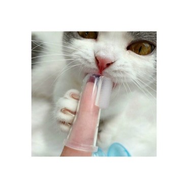 Kedi Köpek Diş Temizleme Fırçası