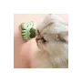 Yengeç Kedi Otu Oyun Topu