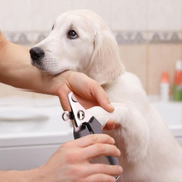 Kedi - Köpek Tırnak Makası Seti