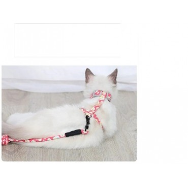 Kedi Gezdirme Göğüs Tasması 