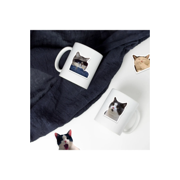 Çılgın Kediler Macbook Notebook Tablet Telefon Ajanda Laptop Defter Sticker Seti