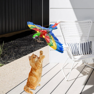 Uçan Papağan Kedi Oyuncağı