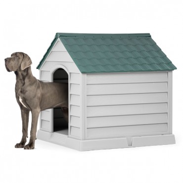 Büyük Köpek Kulübesi