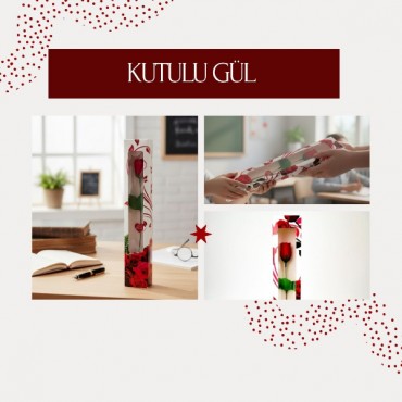 Kutulu Gül - Öğretmenler Günü Hediyesi