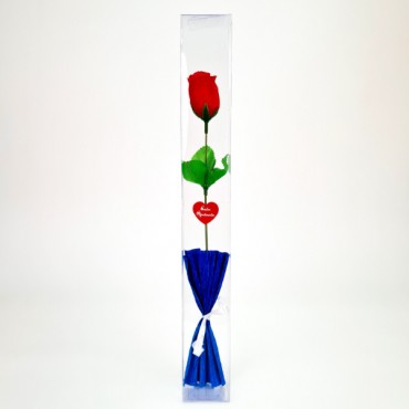 Şeffaf Kutulu Kraponlu Gül - Öğretmenler Günü Hediyesi