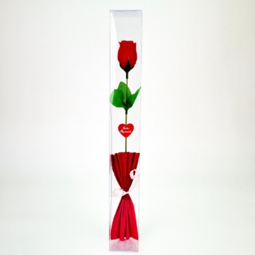 Şeffaf Kutulu Kraponlu Gül - Öğretmenler Günü Hediyesi