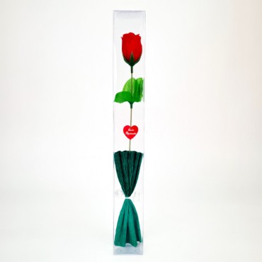 Şeffaf Kutulu Kraponlu Gül - Öğretmenler Günü Hediyesi