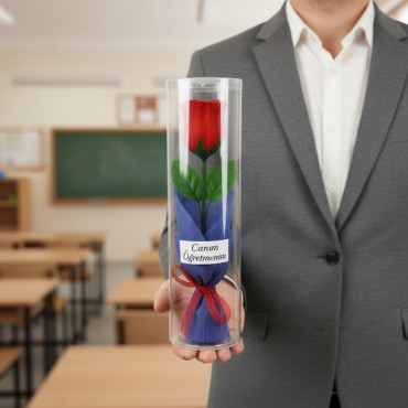 Şeffaf Silindir Kutulu Gül - Öğretmenler Günü Hediyesi 