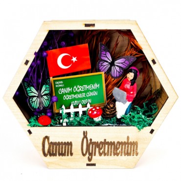 Altıgen Saksı Teraryum - Öğretmenler Günü Hediyesi 