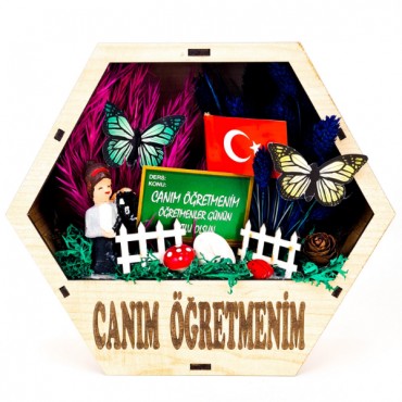 Altıgen Saksı Teraryum - Öğretmenler Günü Hediyesi 