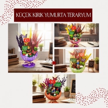 Küçük Kırık Yumurta Teraryum - Öğretmenler Günü Hediyesi
