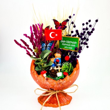 Küçük Kırık Yumurta Teraryum - Öğretmenler Günü Hediyesi