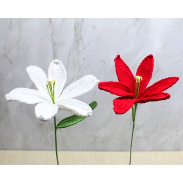 El Örgüsü Zambak Çiçeği 