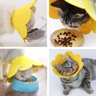 Evcil Hayvan M Boy Keçe Elizabeth Yakalığı  