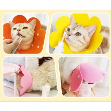 Evcil Hayvan M Boy Keçe Elizabeth Yakalığı  