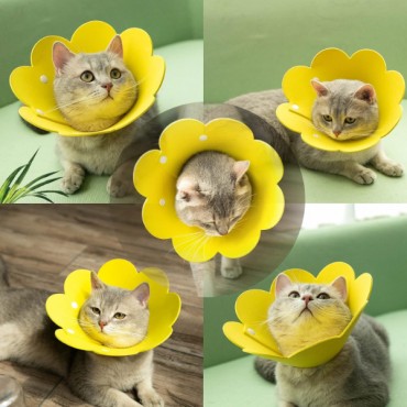 Evcil Hayvan XL Boy Keçe Elizabeth Yakalığı   