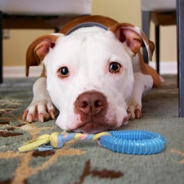 Dayanıklı Köpek Diş Kaşıyıcı Ve Çiğneme Oyuncağı  