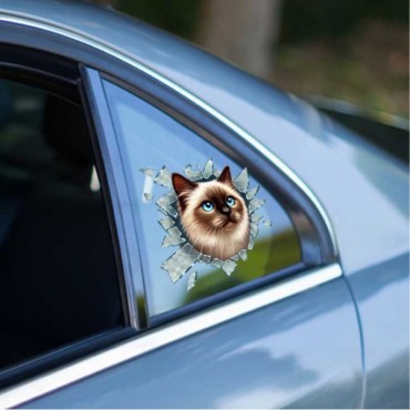 Fulcar Kedi Tasarımlı Araç Stickerı