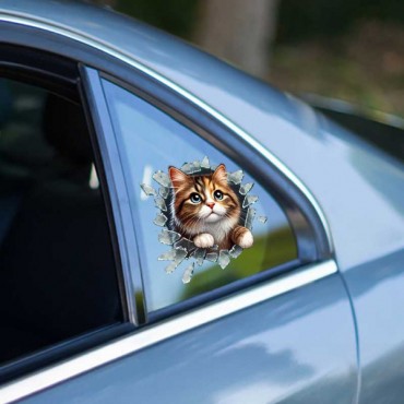 Fulcar Kedi Tasarımlı Araç Stickerı