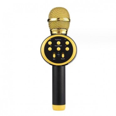 Kablosuz Karaoke Mikrofonu 