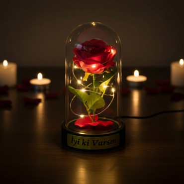 Gül Yapraklı Ledli Gül Fanus 