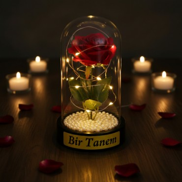 İncili Ledli Gül Fanus 