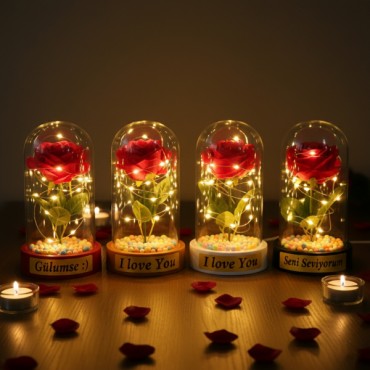 Renkli Toplu Ledli Gül Fanus 