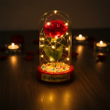 Renkli Toplu Ledli Gül Fanus 