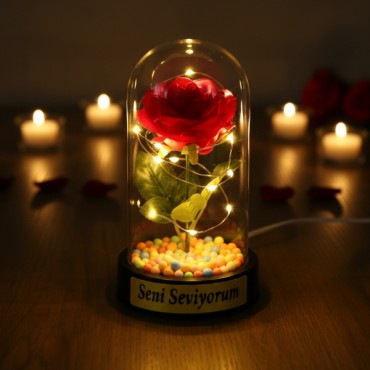 Renkli Toplu Ledli Gül Fanus 