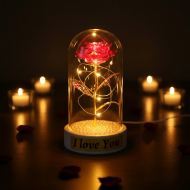 İncili Sonsuzluk Gülü Ledli Fanus 