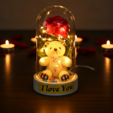 Ayıcıklı Ledli Gül Fanus 