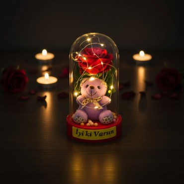 Ayıcıklı Ledli Gül Fanus 