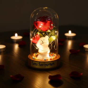 Balonlu Ayıcık Ledli Gül Fanus 